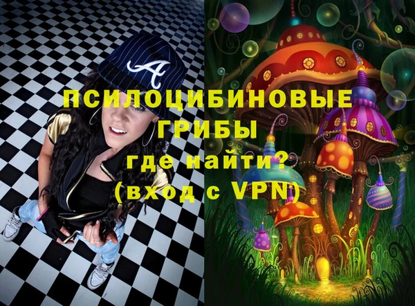 герыч Алексин