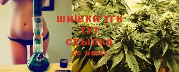 ешки Алзамай