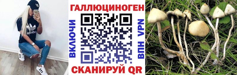 Галлюциногенные грибы Psilocybine cubensis  где купить наркоту  Саянск 